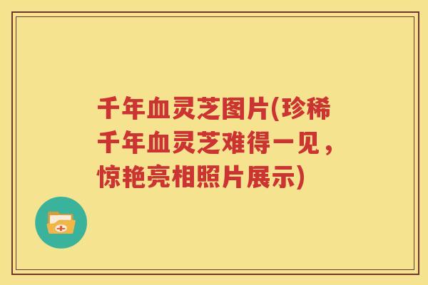 千年血灵芝图片(珍稀千年血灵芝难得一见，惊艳亮相照片展示)