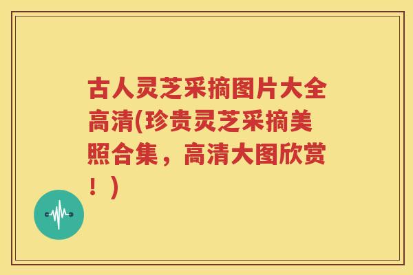 古人灵芝采摘图片大全高清(珍贵灵芝采摘美照合集，高清大图欣赏！)