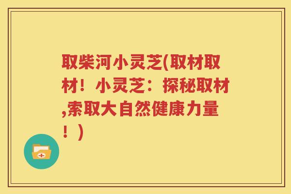取柴河小灵芝(取材取材！小灵芝：探秘取材,索取大自然健康力量！)