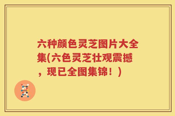 六种颜色灵芝图片大全集(六色灵芝壮观震撼，现已全图集锦！)