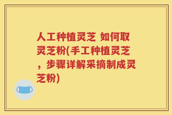 人工种植灵芝 如何取灵芝粉(手工种植灵芝，步骤详解采摘制成灵芝粉)