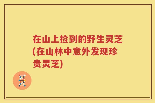 在山上捡到的野生灵芝(在山林中意外发现珍贵灵芝)