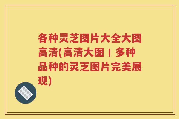 各种灵芝图片大全大图高清(高清大图丨多种品种的灵芝图片完美展现)