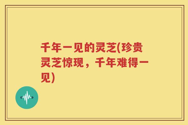 千年一见的灵芝(珍贵灵芝惊现，千年难得一见)