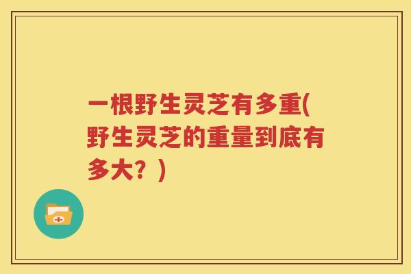 一根野生灵芝有多重(野生灵芝的重量到底有多大？)