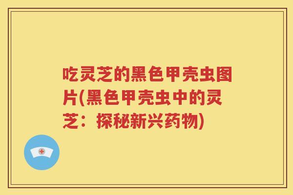 吃灵芝的黑色甲壳虫图片(黑色甲壳虫中的灵芝：探秘新兴药物)