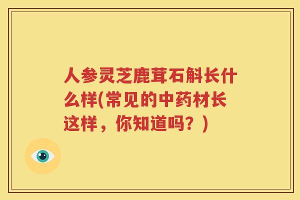人参灵芝鹿茸石斛长什么样(常见的中药材长这样，你知道吗？)