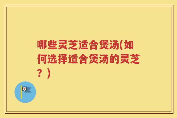 哪些灵芝适合煲汤(如何选择适合煲汤的灵芝？)