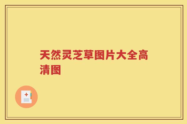 天然灵芝草图片大全高清图