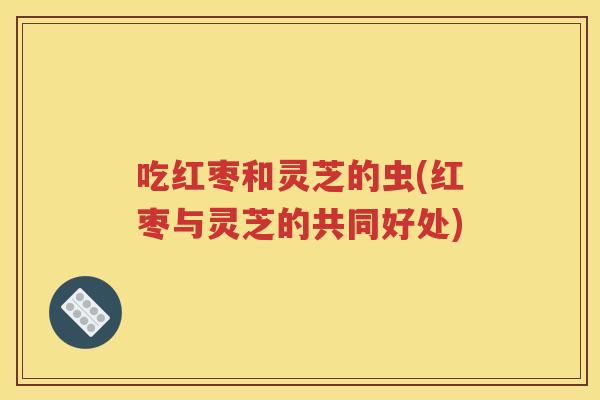 吃红枣和灵芝的虫(红枣与灵芝的共同好处)