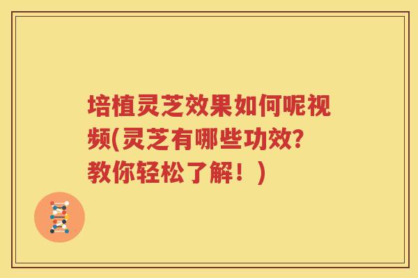 培植灵芝效果如何呢视频(灵芝有哪些功效？教你轻松了解！)