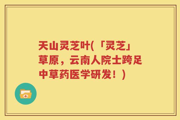 天山灵芝叶(「灵芝」草原，云南人院士跨足中草药医学研发！)