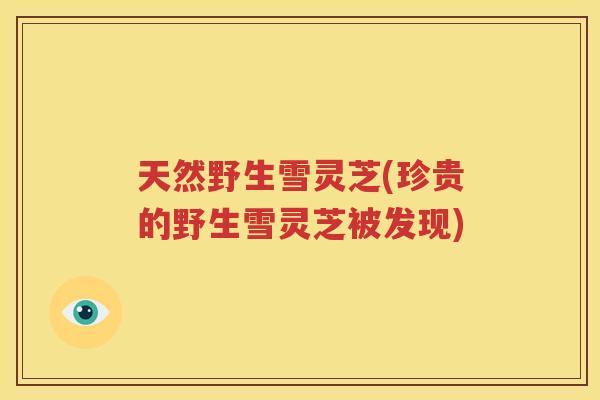 天然野生雪灵芝(珍贵的野生雪灵芝被发现)