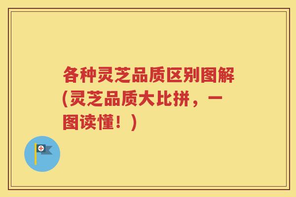 各种灵芝品质区别图解(灵芝品质大比拼，一图读懂！)
