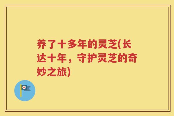养了十多年的灵芝(长达十年，守护灵芝的奇妙之旅)