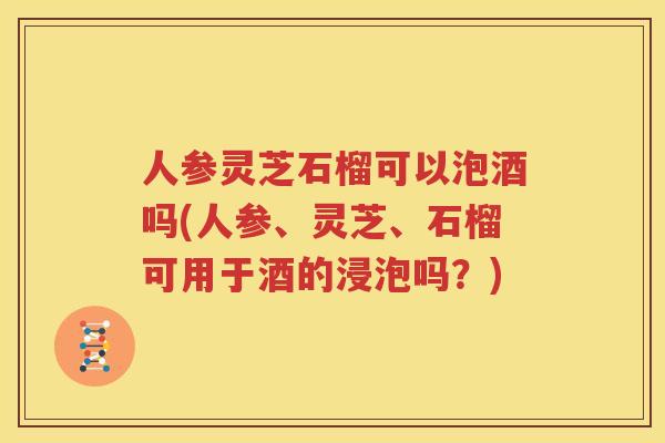 人参灵芝石榴可以泡酒吗(人参、灵芝、石榴可用于酒的浸泡吗？)