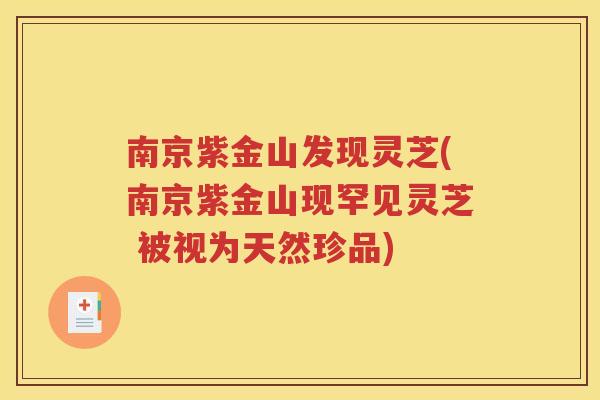 南京紫金山发现灵芝(南京紫金山现罕见灵芝 被视为天然珍品)