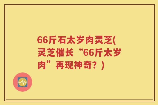 66斤石太岁肉灵芝(灵芝催长“66斤太岁肉”再现神奇？)