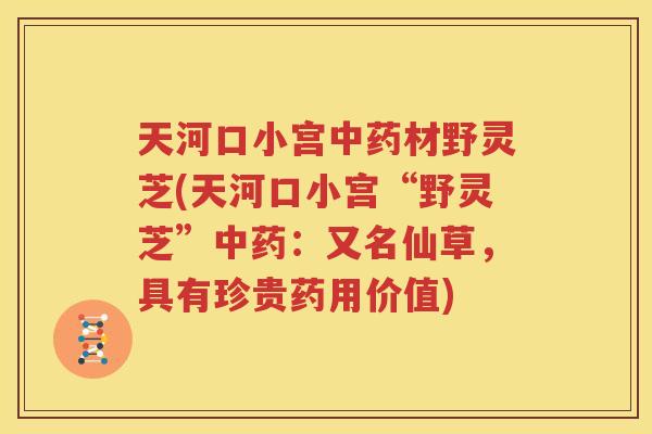 天河口小宫中药材野灵芝(天河口小宫“野灵芝”中药：又名仙草，具有珍贵药用价值)