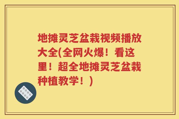 地摊灵芝盆栽视频播放大全(全网火爆！看这里！超全地摊灵芝盆栽种植教学！)