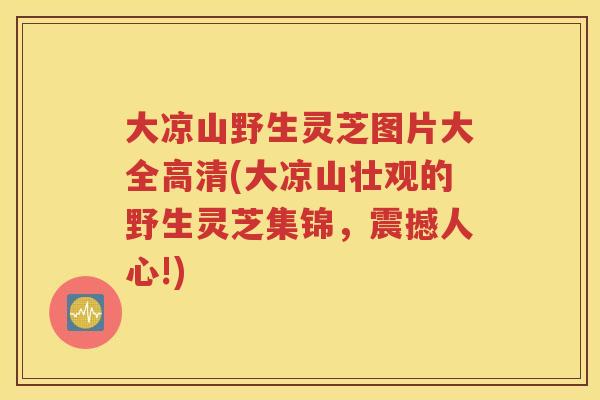 大凉山野生灵芝图片大全高清(大凉山壮观的野生灵芝集锦，震撼人心!)
