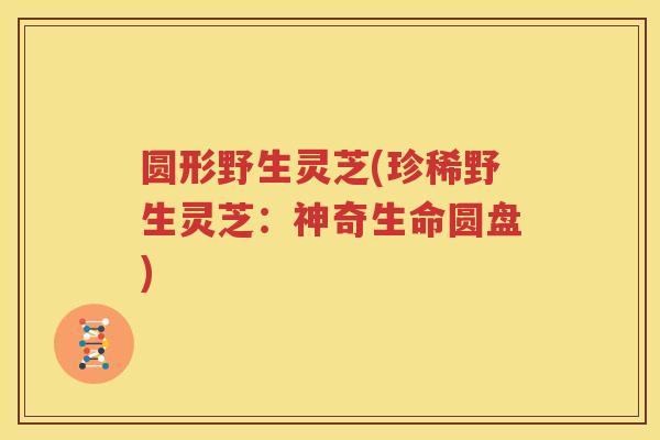 圆形野生灵芝(珍稀野生灵芝：神奇生命圆盘)