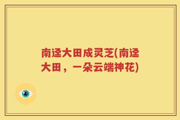 南迳大田成灵芝(南迳大田，一朵云端神花)