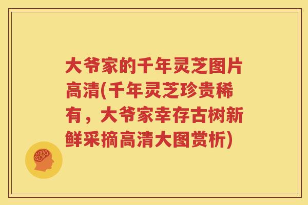 大爷家的千年灵芝图片高清(千年灵芝珍贵稀有，大爷家幸存古树新鲜采摘高清大图赏析)