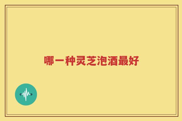 哪一种灵芝泡酒最好