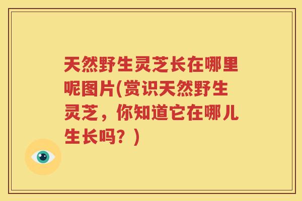 天然野生灵芝长在哪里呢图片(赏识天然野生灵芝，你知道它在哪儿生长吗？)