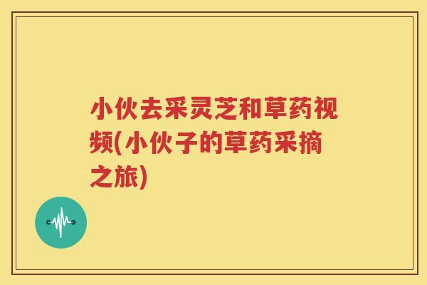 小伙去采灵芝和草药视频(小伙子的草药采摘之旅)