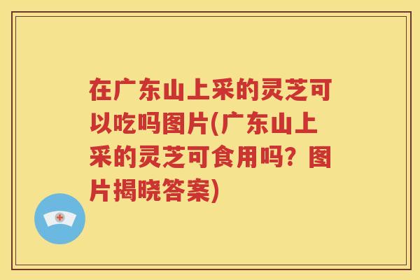 在广东山上采的灵芝可以吃吗图片(广东山上采的灵芝可食用吗？图片揭晓答案)