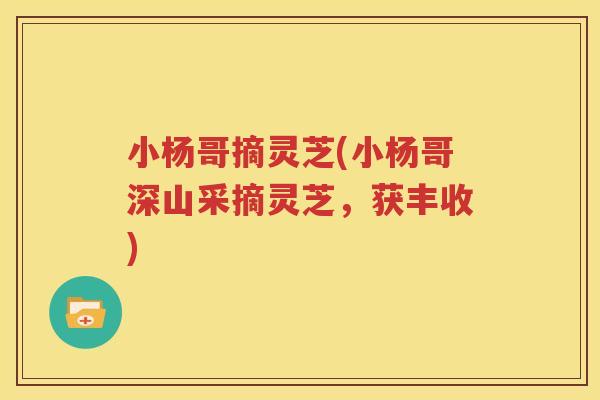 小杨哥摘灵芝(小杨哥深山采摘灵芝，获丰收)