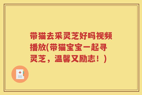 带猫去采灵芝好吗视频播放(带猫宝宝一起寻灵芝，温馨又励志！)