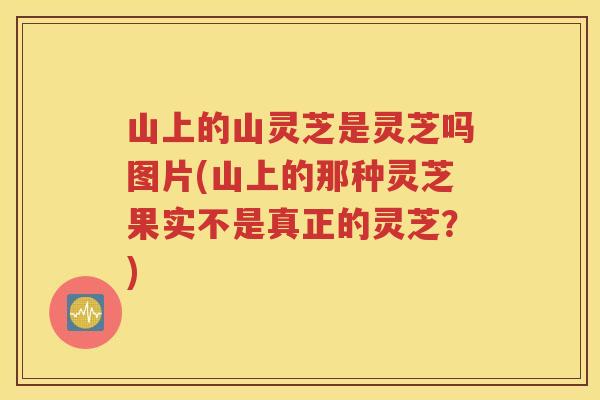 山上的山灵芝是灵芝吗图片(山上的那种灵芝果实不是真正的灵芝？)