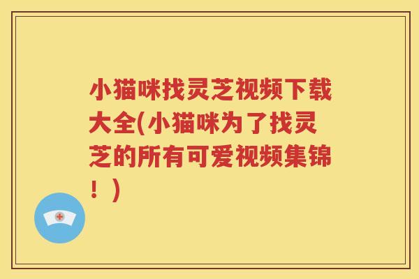 小猫咪找灵芝视频下载大全(小猫咪为了找灵芝的所有可爱视频集锦！)