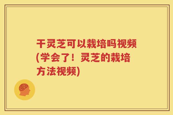 干灵芝可以栽培吗视频(学会了！灵芝的栽培方法视频)