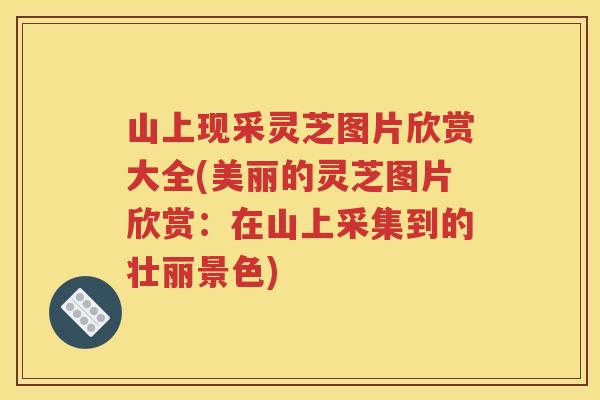 山上现采灵芝图片欣赏大全(美丽的灵芝图片欣赏：在山上采集到的壮丽景色)