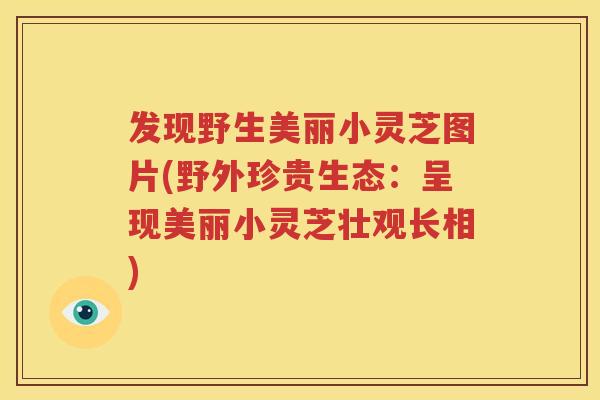 发现野生美丽小灵芝图片(野外珍贵生态：呈现美丽小灵芝壮观长相)