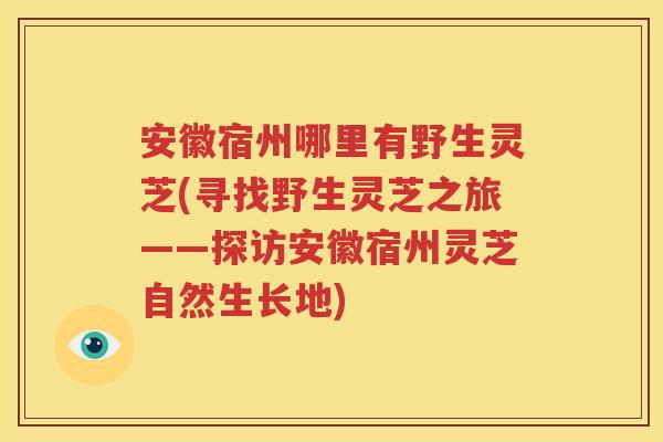 安徽宿州哪里有野生灵芝(寻找野生灵芝之旅——探访安徽宿州灵芝自然生长地)