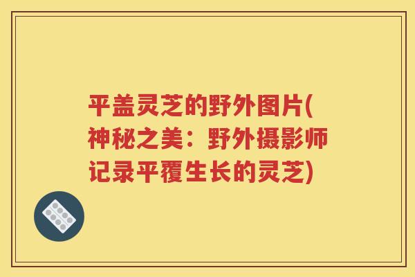 平盖灵芝的野外图片(神秘之美：野外摄影师记录平覆生长的灵芝)