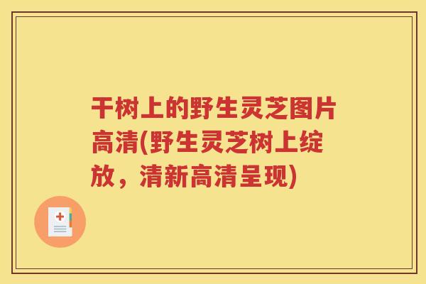 干树上的野生灵芝图片高清(野生灵芝树上绽放，清新高清呈现)