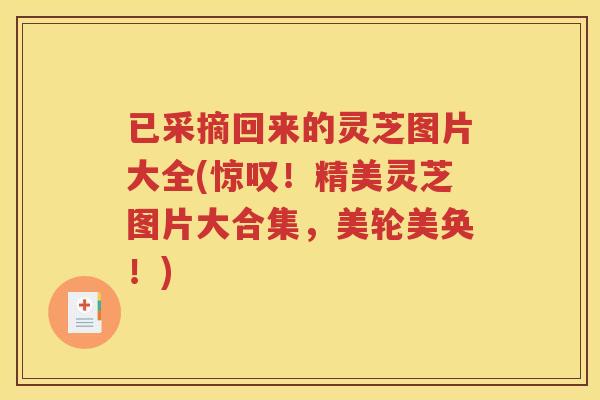 已采摘回来的灵芝图片大全(惊叹！精美灵芝图片大合集，美轮美奂！)