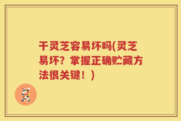 干灵芝容易坏吗(灵芝易坏？掌握正确贮藏方法很关键！)