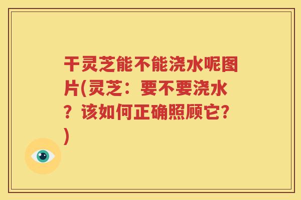 干灵芝能不能浇水呢图片(灵芝：要不要浇水？该如何正确照顾它？)