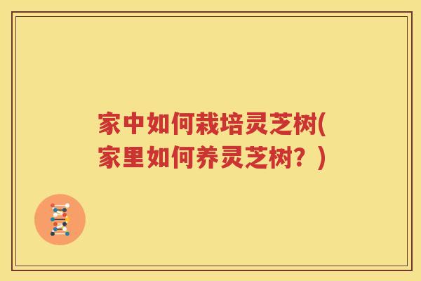 家中如何栽培灵芝树(家里如何养灵芝树？)