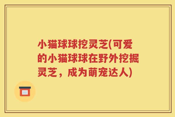 小猫球球挖灵芝(可爱的小猫球球在野外挖掘灵芝，成为萌宠达人)