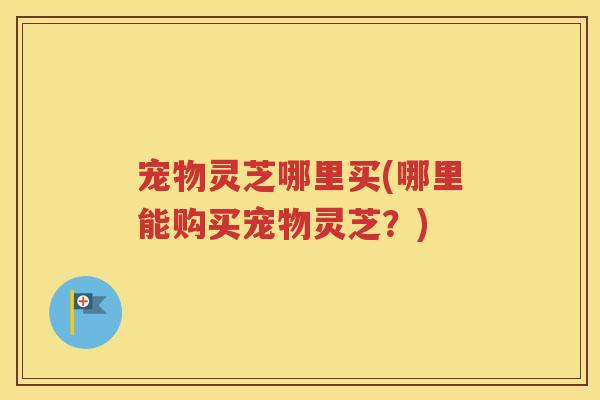 宠物灵芝哪里买(哪里能购买宠物灵芝？)