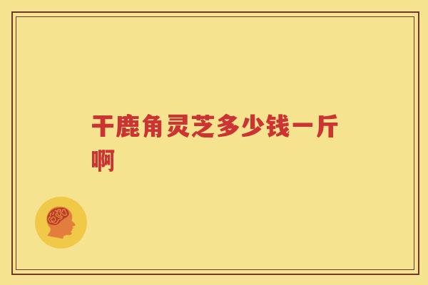 干鹿角灵芝多少钱一斤啊