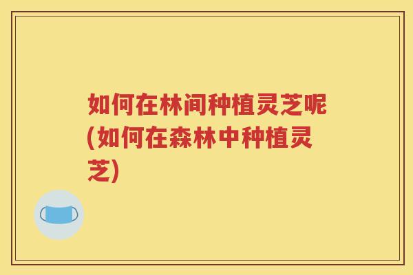 如何在林间种植灵芝呢(如何在森林中种植灵芝)
